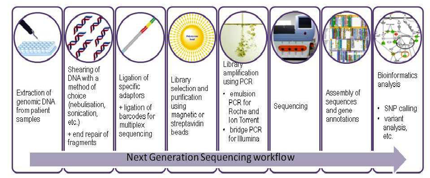 next-generation-sequencing-ngs