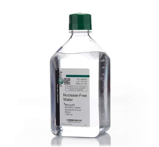 Nuclease-Free Water (not DEPC-treated)