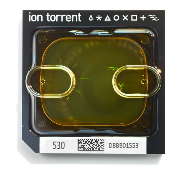 Ion 530 Chip Kit