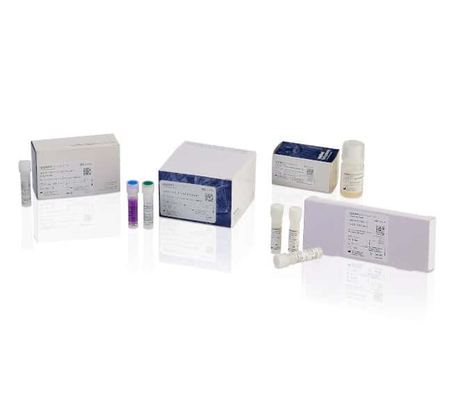 TaqPath™ COVID‑19, Flu A/B, RSV Combo Kit