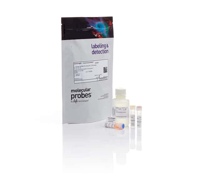 Qubit™ dsDNA HS Assay Kits
