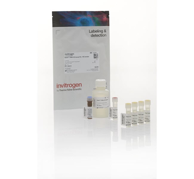 Qubit™ RNA - HS Kit