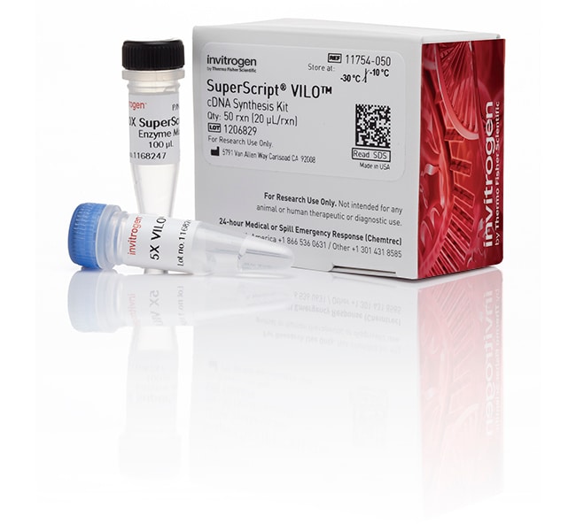 SuperScript VILO cDNA Synthesis Kit