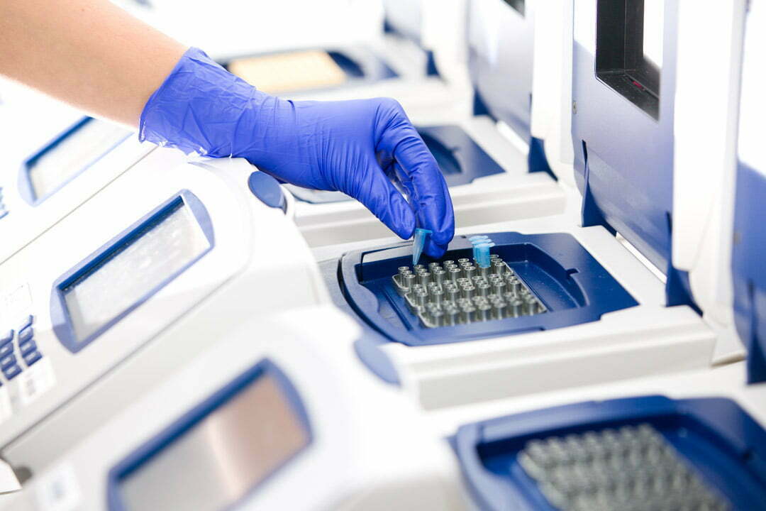 Illustrative PCR workflow photo
