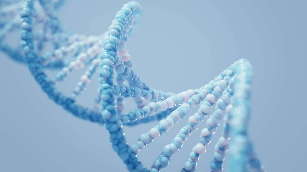 DNA double helix