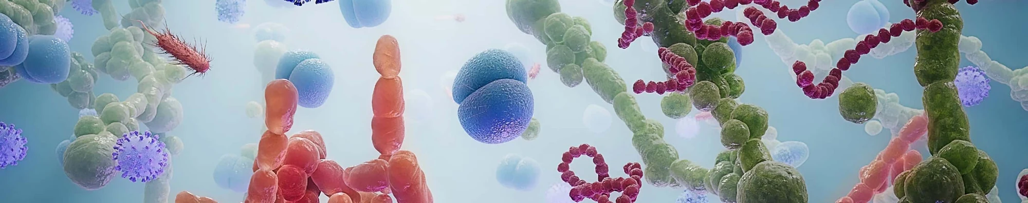 Illustration of microorganisms