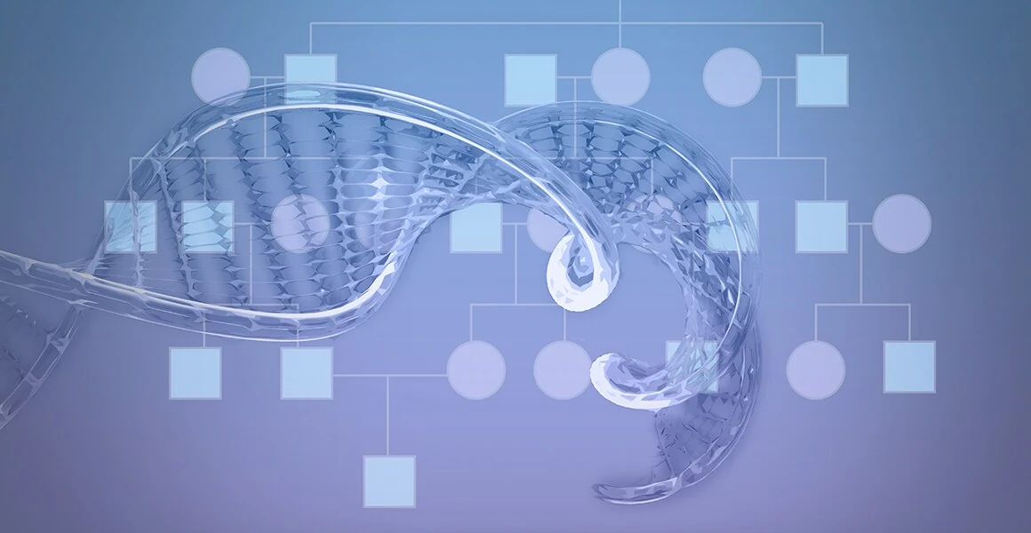 An inheritance pedigree and DNA illustration